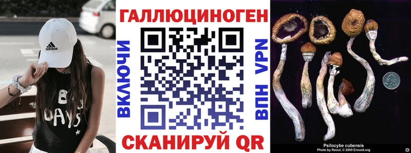 Псилоцибиновые грибы прущие грибы  гидра ССЫЛКА  Кондопога 