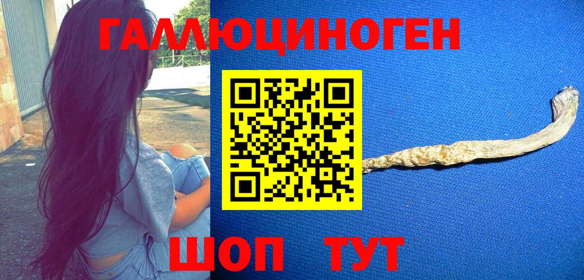 Галлюциногенные грибы GOLDEN TEACHER Кондопога