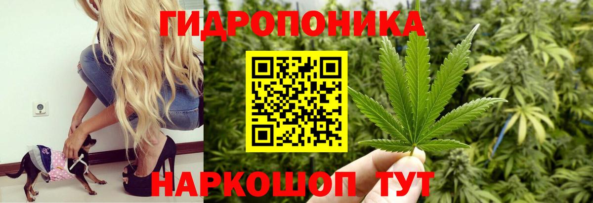 Кондопога  Канабис AK-47  Канабис Amnesia  Вход с VPN 